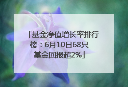 基金净值增长率排行榜：6月10日68只基金回报超2%