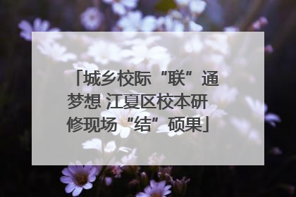 城乡校际“联”通梦想 江夏区校本研修现场“结”硕果