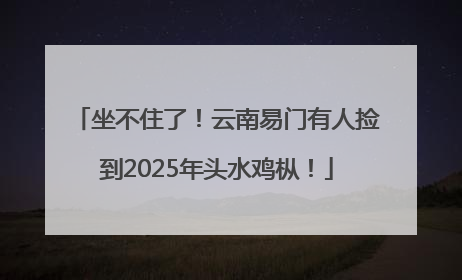 坐不住了！云南易门有人捡到2025年头水鸡枞！