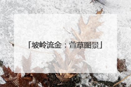 坡岭流金：萱草图景
