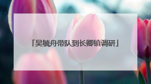 吴毓舟带队到长卿镇调研