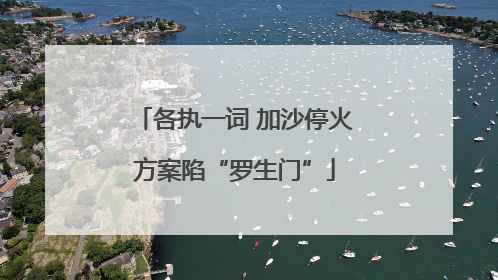 各执一词 加沙停火方案陷“罗生门”