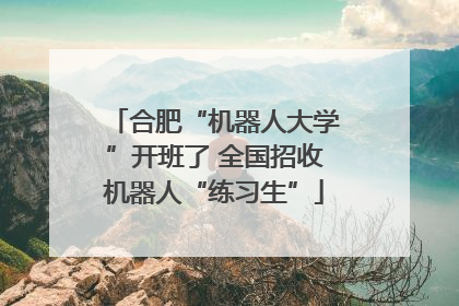 合肥“机器人大学”开班了 全国招收机器人“练习生”