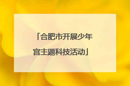 合肥市开展少年宫主题科技活动