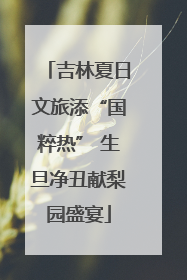 吉林夏日文旅添“国粹热” 生旦净丑献梨园盛宴