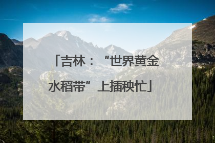 吉林：“世界黄金水稻带”上插秧忙