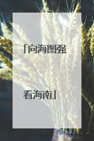 向海图强看海南
