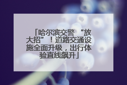 哈尔滨交警 “放大招”！道路交通设施全面升级，出行体验直线飙升