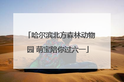 哈尔滨北方森林动物园 萌宝陪你过六一