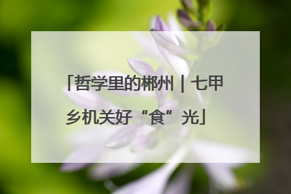 哲学里的郴州｜七甲乡机关好“食”光