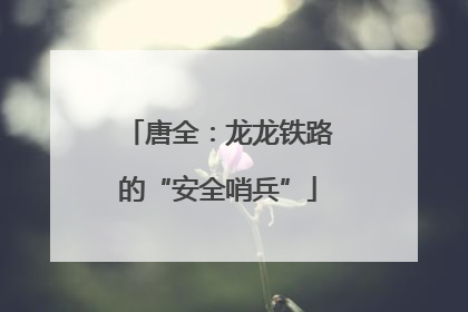 唐全：龙龙铁路的“安全哨兵”