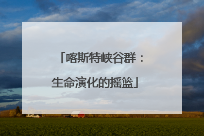 喀斯特峡谷群：生命演化的摇篮