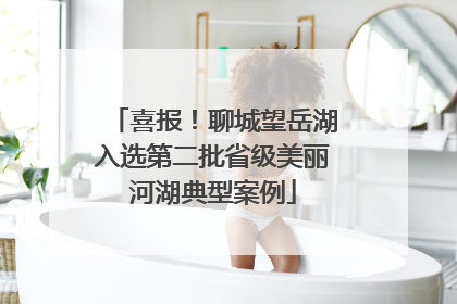 喜报！聊城望岳湖入选第二批省级美丽河湖典型案例