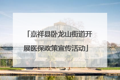 嘉祥县卧龙山街道开展医保政策宣传活动