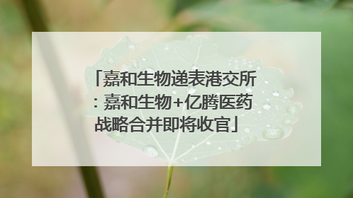 嘉和生物递表港交所：嘉和生物+亿腾医药战略合并即将收官