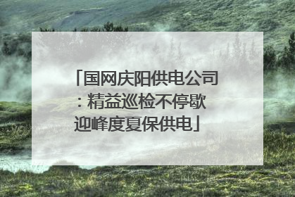 国网庆阳供电公司：精益巡检不停歇 迎峰度夏保供电