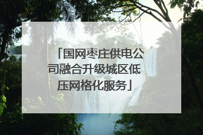 国网枣庄供电公司融合升级城区低压网格化服务