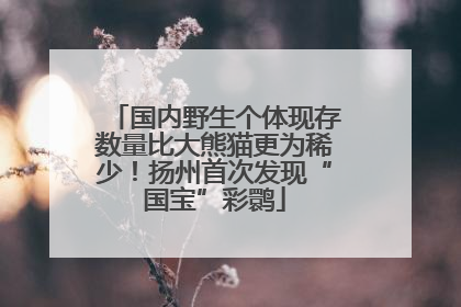 国内野生个体现存数量比大熊猫更为稀少！扬州首次发现“国宝”彩鹮