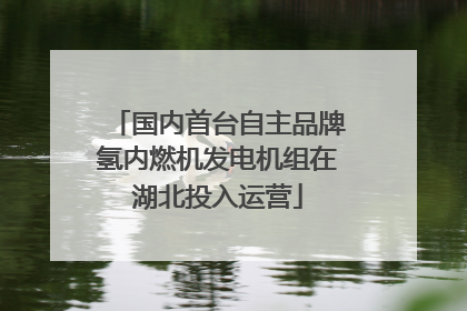 国内首台自主品牌氢内燃机发电机组在湖北投入运营