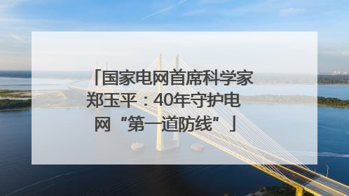 国家电网首席科学家郑玉平：40年守护电网“第一道防线”