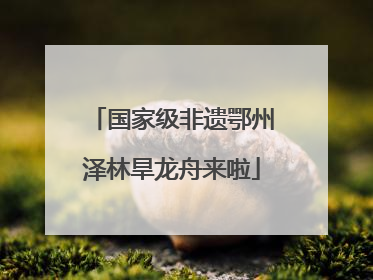 国家级非遗鄂州泽林旱龙舟来啦