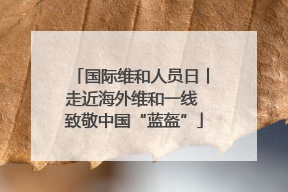 国际维和人员日丨走近海外维和一线 致敬中国“蓝盔”