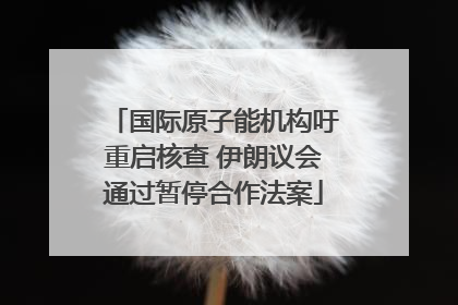 国际原子能机构吁重启核查 伊朗议会通过暂停合作法案