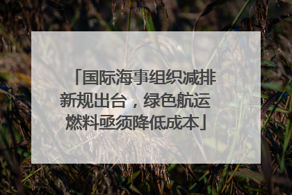 国际海事组织减排新规出台，绿色航运燃料亟须降低成本