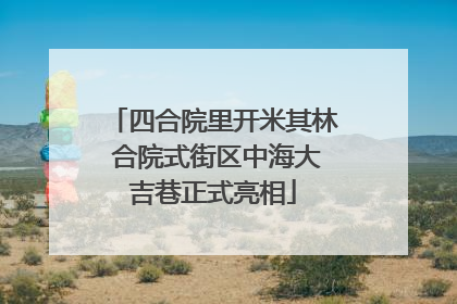 四合院里开米其林 合院式街区中海大吉巷正式亮相