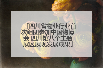 四川省物业行业首次组团参加中国物博会 四川馆八个主题展区展现发展成果