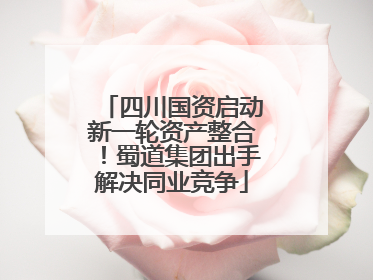 四川国资启动新一轮资产整合！蜀道集团出手解决同业竞争