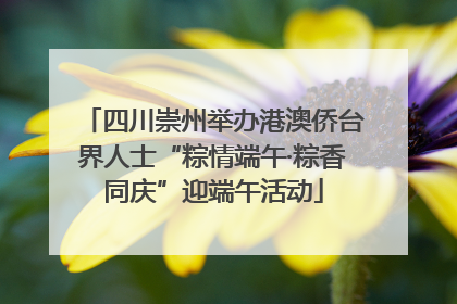 四川崇州举办港澳侨台界人士“粽情端午·粽香同庆”迎端午活动