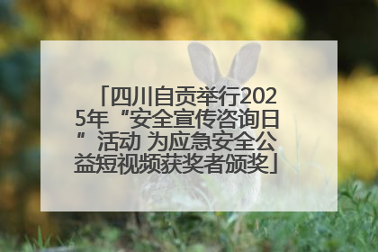四川自贡举行2025年“安全宣传咨询日”活动 为应急安全公益短视频获奖者颁奖