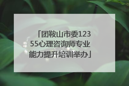 团鞍山市委12355心理咨询师专业能力提升培训举办