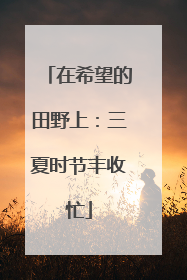 在希望的田野上：三夏时节丰收忙