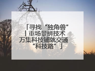 寻找“独角兽”丨重场景拼技术 万集科技铺就交通“科技路”