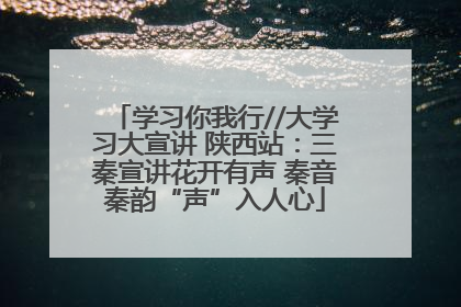 学习你我行//大学习大宣讲 陕西站：三秦宣讲花开有声 秦音秦韵“声”入人心
