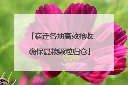 宿迁各地高效抢收 确保夏粮颗粒归仓