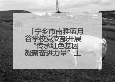 宁乡市南雅蓝月谷学校党支部开展“传承红色基因 凝聚奋进力量”主题党日活动