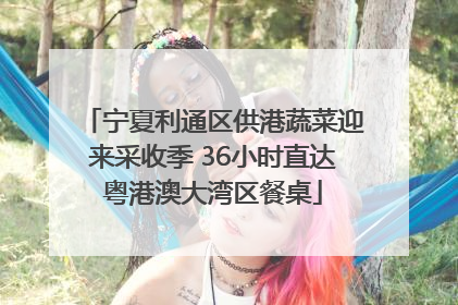 宁夏利通区供港蔬菜迎来采收季 36小时直达粤港澳大湾区餐桌