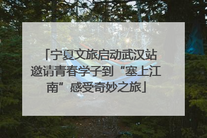 宁夏文旅启动武汉站 邀请青春学子到“塞上江南”感受奇妙之旅