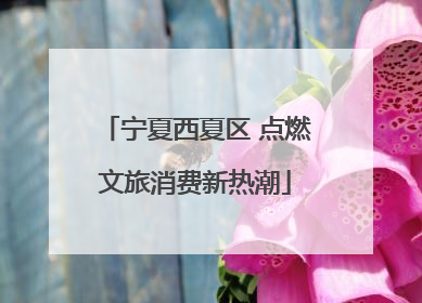 宁夏西夏区 点燃文旅消费新热潮