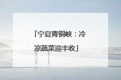 宁夏青铜峡：冷凉蔬菜迎丰收