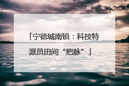 宁德城南镇：科技特派员田间“把脉”