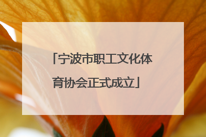 宁波市职工文化体育协会正式成立