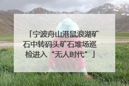 宁波舟山港鼠浪湖矿石中转码头矿石堆场巡检进入“无人时代”