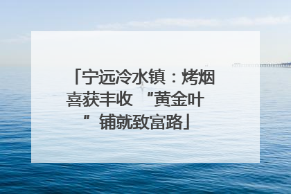 宁远冷水镇：烤烟喜获丰收 “黄金叶”铺就致富路