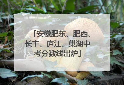 安徽肥东、肥西、长丰、庐江、巢湖中考分数线出炉