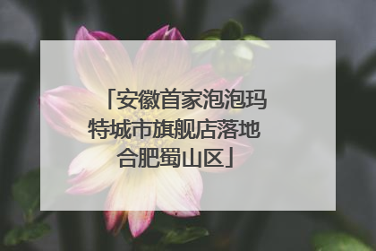 安徽首家泡泡玛特城市旗舰店落地合肥蜀山区