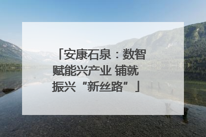 安康石泉：数智赋能兴产业 铺就振兴“新丝路”